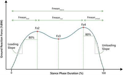 Effects of age, body height, body weight, body mass index and handgrip strength on the trajectory of the plantar pressure stance-phase curve of the gait cycle